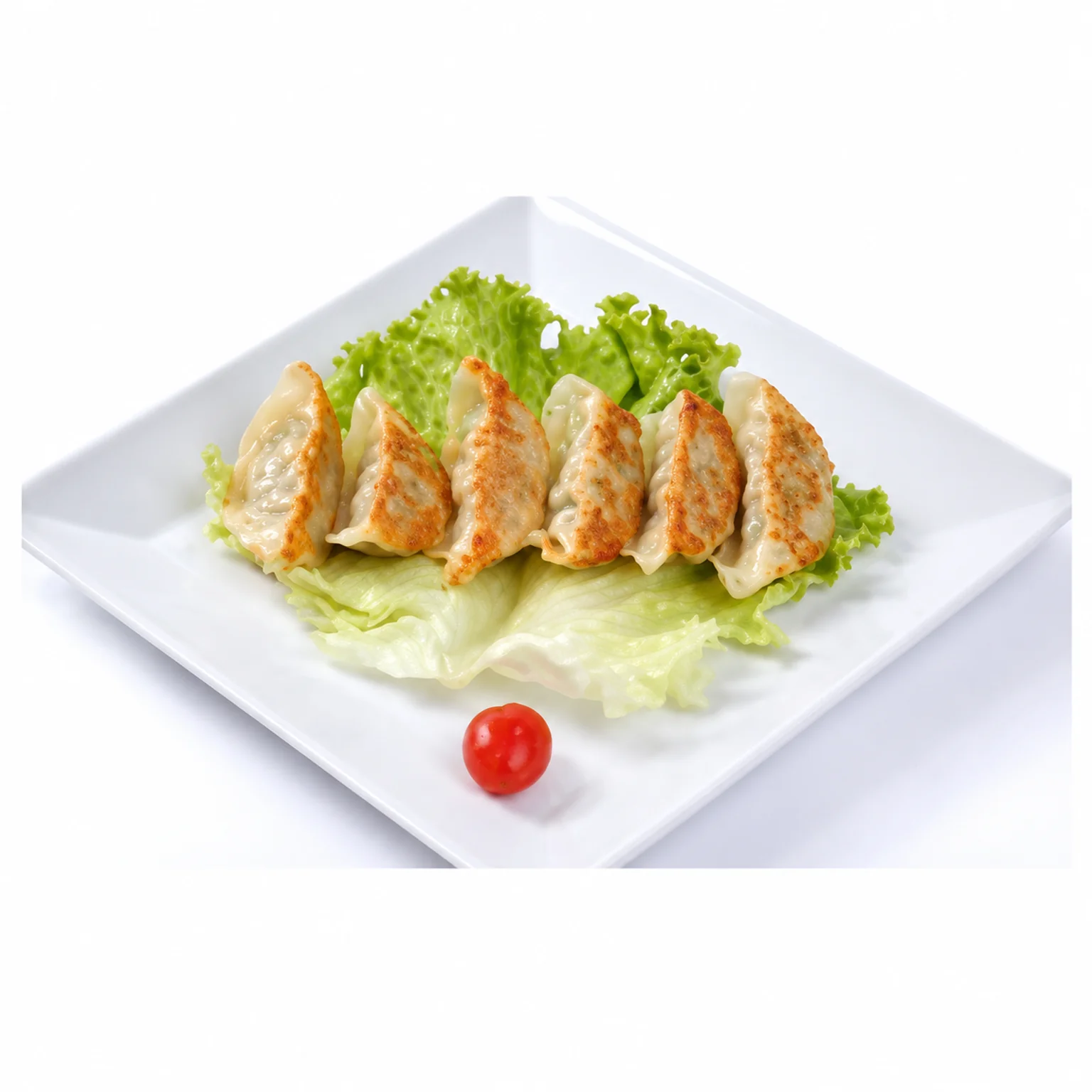 Gyoza on a white square plate — illustration